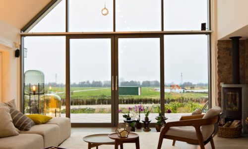 60a65798d1a50a0a859a0261 60a65798d1a50a0a859a0261